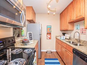 Knoxville apartment for rent - a kitchen with a stove sink and refrigerator
