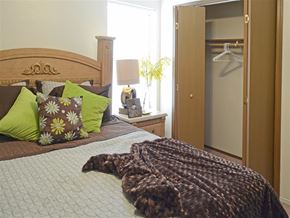 Conway apartment for rent - a bedroom with a bed with pillows and a closet