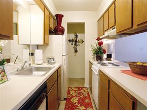 Conway apartment for rent - a kitchen with a sink and a stove and a refrigerator