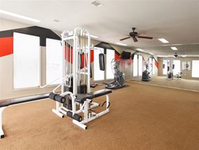 Conway apartment for rent - the gym in the home has plenty of equipment and windows