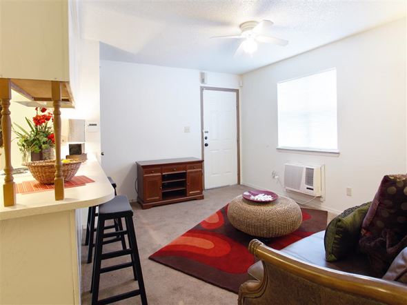 Conway apartment for rent - a living room with a couch and a chair and a kitchen