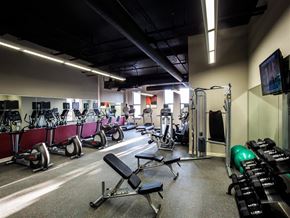 Ashburn apartment for rent - a gym with weights and cardio equipment in a building