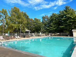 Fayetteville apartment for rent - a swimming pool with chairs and trees in the background