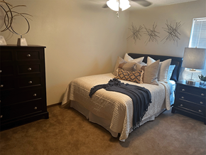 Fayetteville apartment for rent - a bedroom with a bed and two dressers