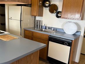 Fayetteville apartment for rent - a kitchen with a sink and a dishwasher and a refrigerator