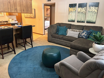 Fayetteville apartment for rent - a living room with a blue rug and a couch