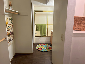 Springdale apartment for rent - a bathroom with a shower and a rug on the floor