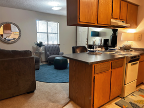 Springdale apartment for rent - a kitchen and living room with a stove and a sink