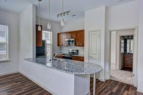 Rock Hill apartment for rent - Beautiful apartment kitchen at 139 Main Apartments in charming Rock HIll, SC
