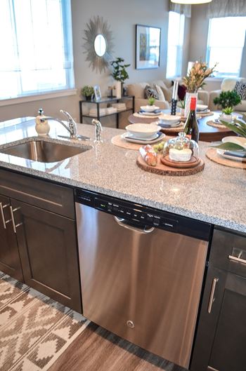 Double stainless steel sink