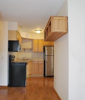 Mankato apartment for rent - a kitchen with stainless steel appliances and wooden cabinets