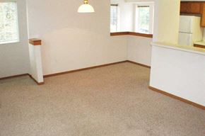 St. Paul townhouse for rent - an empty living room with a white wall and carpet