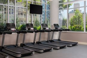 Los Angeles apartment for rent - A row of treadmills are lined up in a gym with a large window in the background.