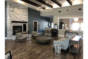 New Braunfels apartment for rent - a living room with blue walls and a stone fireplace