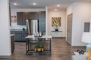 Madison apartment for rent - A modern kitchen with a stainless steel refrigerator and a black grill table.