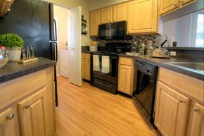 Palm Harbor apartment for rent - Spacious kitchens include a pantry and plenty of above and below cabinet storage.