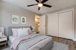 Denver apartment for rent - a bedroom with a bed and a ceiling fan