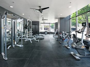 State-of-the-art cardio and strength fitness center