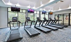Alexandria apartment for rent - a gym with rows of cardio equipment and windows