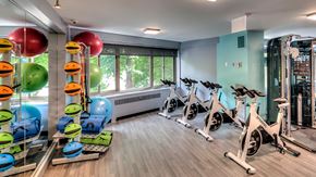 Chicago apartment for rent - Inside one of the fitness centers at 1350-1360 Lake Shore Drive. Mirrors line the left wall with an exercise ball set in front. Spin bikes run along the right with windows at the far wall.