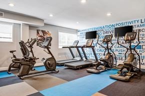 Alexandria apartment for rent - a gym with treadmills and other exercise equipment