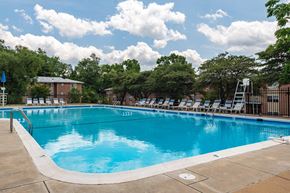 Alexandria apartment for rent - our apartments have a large pool for residents to enjoy
