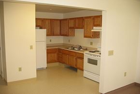 West Henrietta apartment for rent - an empty kitchen with a stove refrigerator and sink