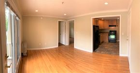 South Portland apartment for rent - A room with wooden floors and a television in the corner.