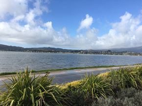 Tiburon apartment for rent - Nearby Belevedere Lagoon | Lyford Apartments in Tiburon, CA 94920