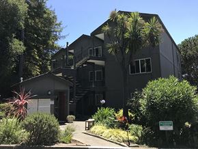 Tiburon apartment for rent - Building Exterior | Lyford Apartments in Tiburon, CA 94920