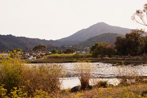 Greenbrae apartment for rent - Nature nearby Via Holon Apartments in Greenbrae, CA 