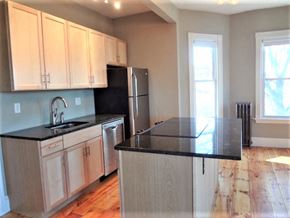 Portland apartment for rent - A kitchen with wooden cabinets and black countertops.