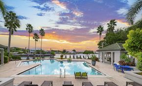 Tampa apartment for rent - the pool at the resort at longboat key club