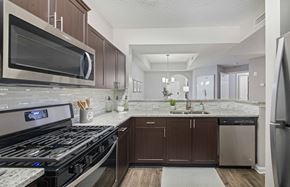 Charlotte apartment for rent - a kitchen with stainless steel appliances and marble counter tops