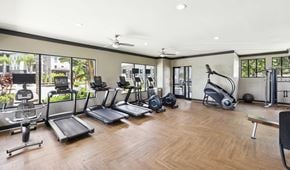 Windermere apartment for rent - the estates green apartments cardio equipment in the gym