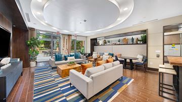 Alexandria apartment for rent - a living room with couches and chairs and a table