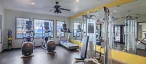 Dallas apartment for rent - a gym with exercise equipment and windows in a building