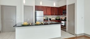 Richardson apartment for rent - a kitchen with a counter top and a refrigerator
