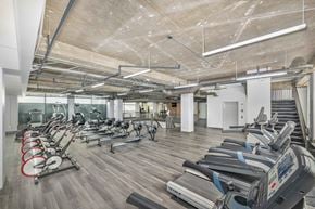 Addison apartment for rent - the gym is equipped with cardio equipment and weights