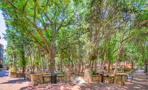 Addison apartment for rent - a park with trees and benches