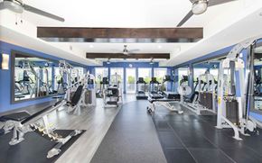 Dallas apartment for rent - a gym with weights and cardio equipment in a building with blue walls
