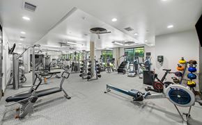 Houston apartment for rent - a gym with cardio equipment and weights in a building with windows