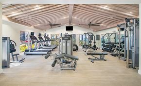 Tampa apartment for rent - a gym with cardio equipment and weights on the floor