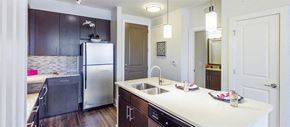 Tampa apartment for rent - a kitchen with a sink and a refrigerator