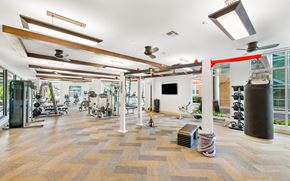 Houston apartment for rent - the gym at the flats at big tex apartments