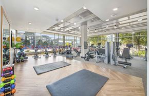 Denver apartment for rent - the gym is equipped with state of the art equipment including cardio machines and weights