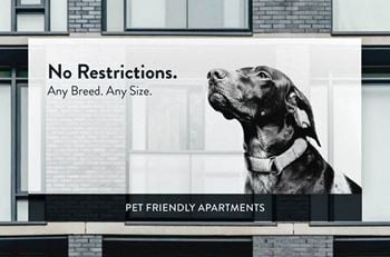 Ewing avenue pet friendly
