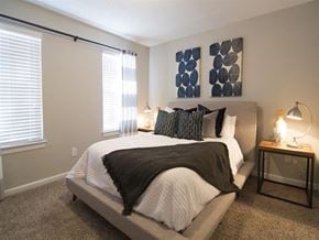Jonesboro apartment for rent - bedroom with 2 windows