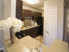 Jonesboro apartment for rent - Kitchen Breakfast Bar