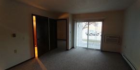Cross Plains apartment for rent - an empty living room with a window and a door